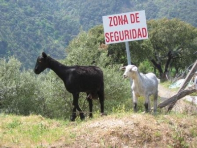 pensiones, hostales, casas rurales baratas. Depension.com. Ampliar esta imagen